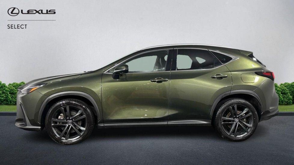 Used Lexus NX 2024 for sale - 77957169: Photo 8