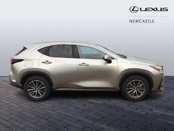 Used Lexus NX 2023 for sale - 76964509: Photo