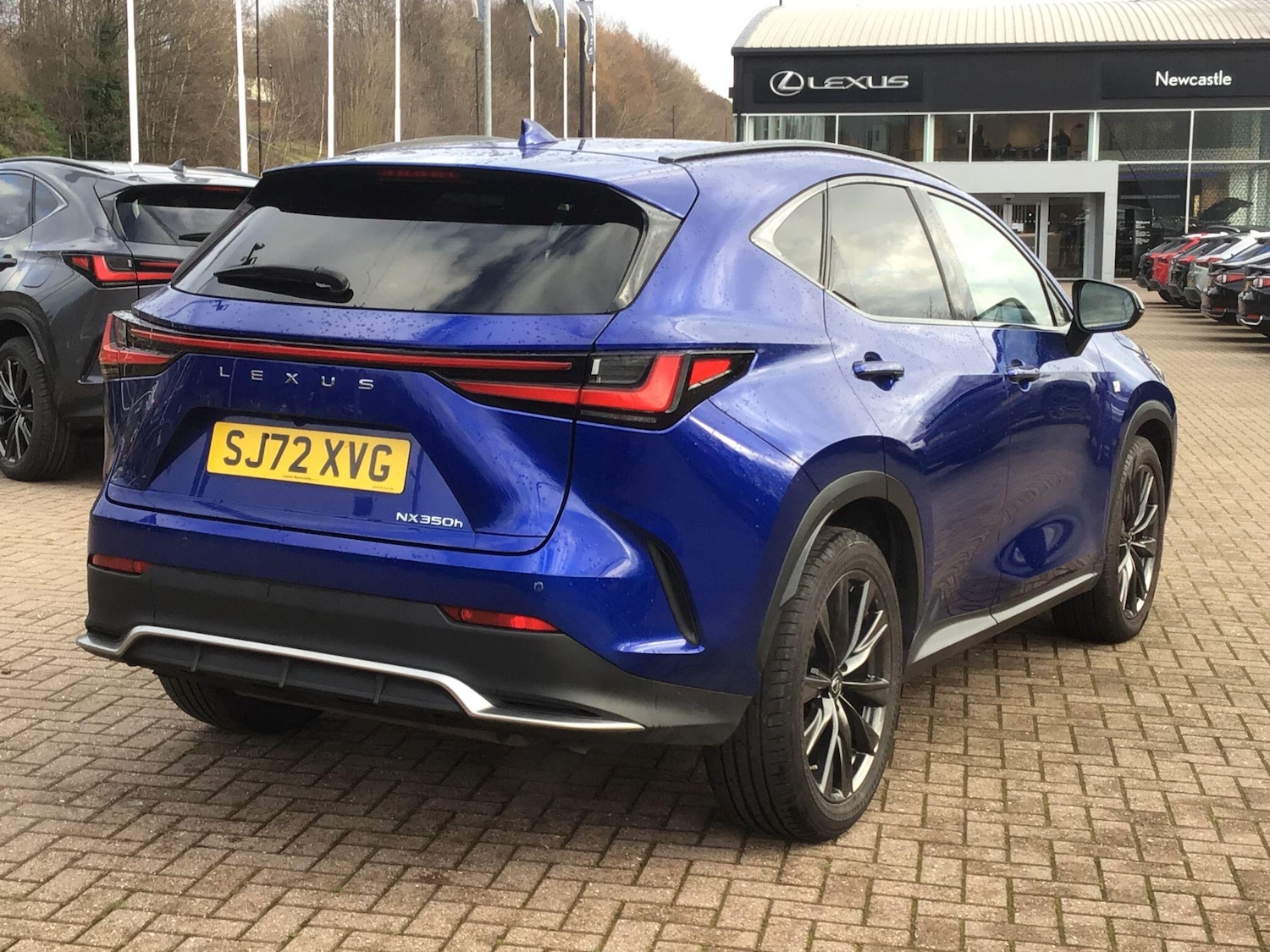 Used Lexus NX 2022 for sale - 77238438: Photo 5
