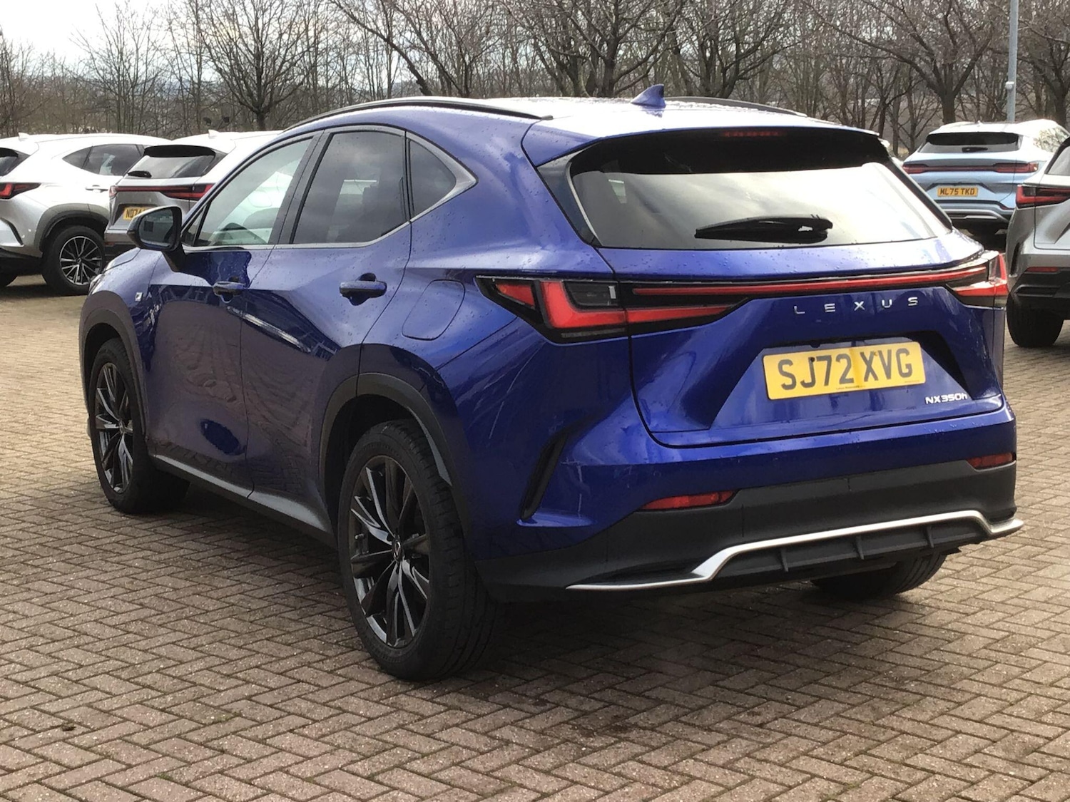 Used Lexus NX 2022 for sale - 77238438: Photo 7
