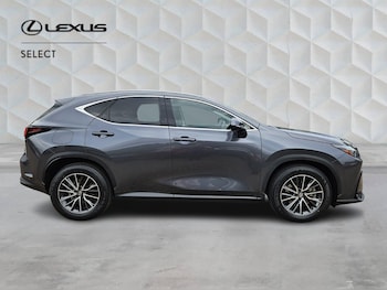 Used Lexus NX 2024 for sale - 79107119: Photo