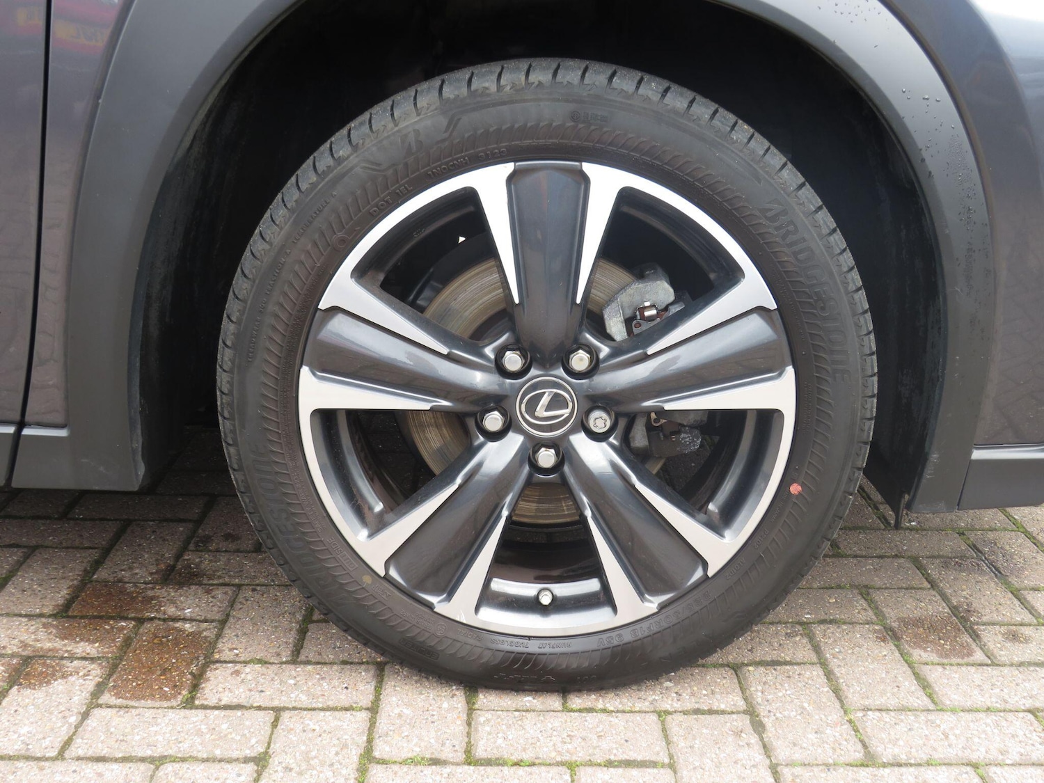 Used Lexus UX for sale - 77386452: Photo 11