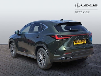 Used Lexus NX 2023 for sale - 75174154: Photo