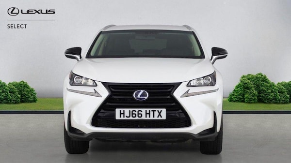 Used Lexus NX 2016 for sale - 76283611: Photo 10