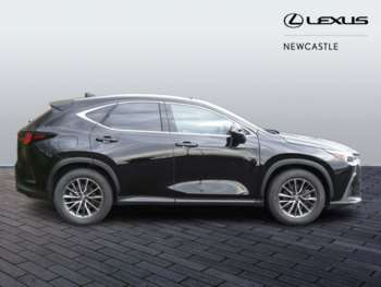 Used Lexus NX 2023 for sale - 74485797: Photo