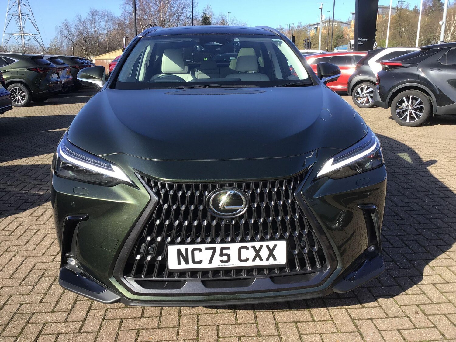 Used Lexus NX for sale - 77752955: Photo 10