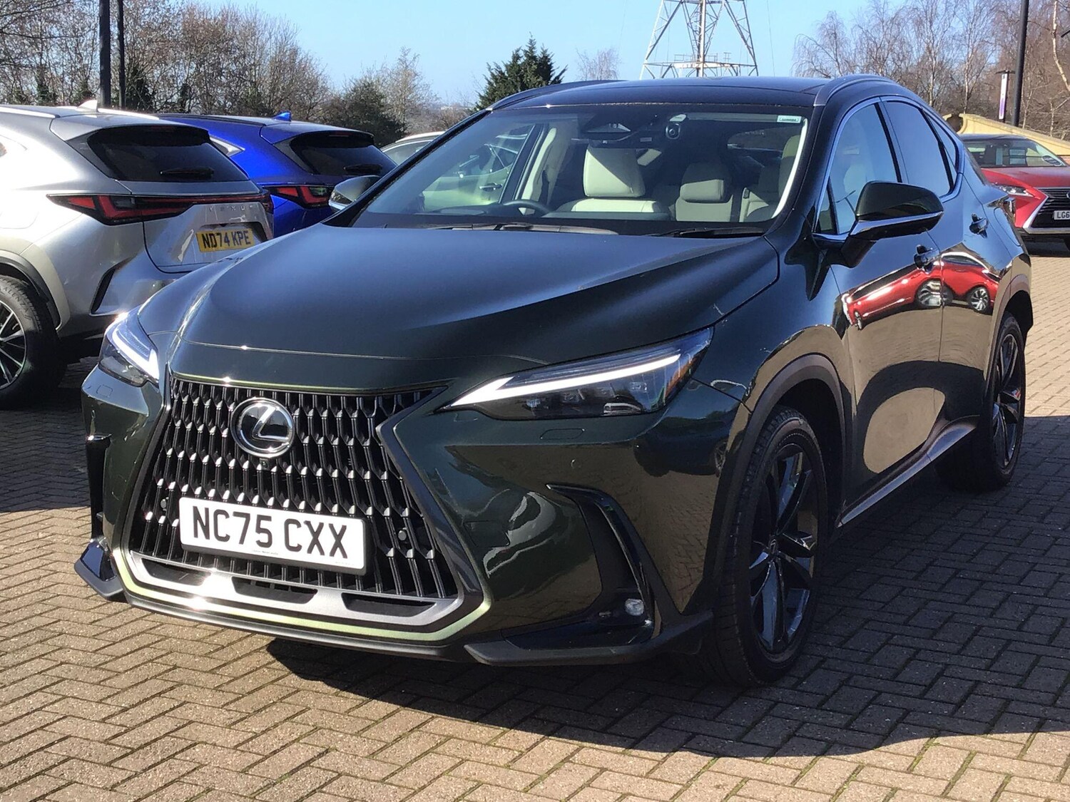 Used Lexus NX for sale - 77752955: Photo 9