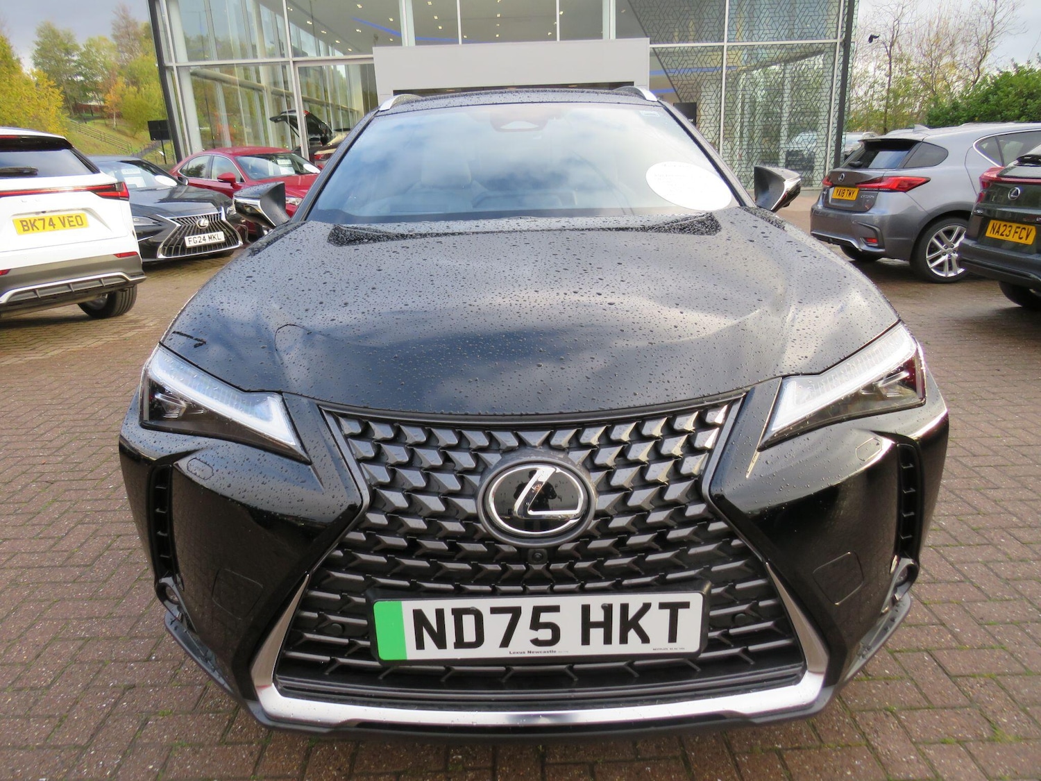 Used Lexus UX 2025 for sale - 76597272: Photo 10