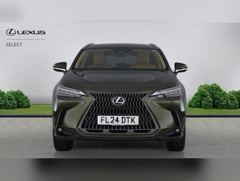 Used Lexus NX 2024 for sale - 76527976: Photo