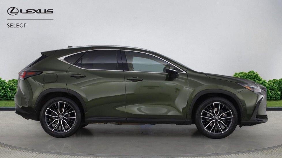 Used Lexus NX 2024 for sale - 76527976: Photo 7