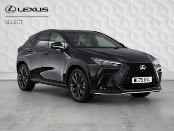 Used Lexus NX 2025 for sale - 79520519: Photo