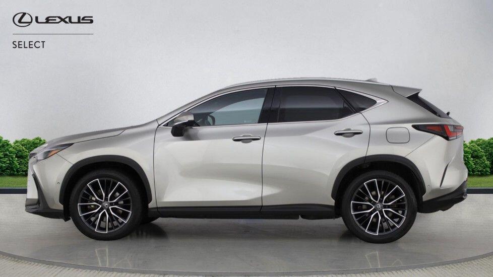 Used Lexus NX for sale - 77496714: Photo 8