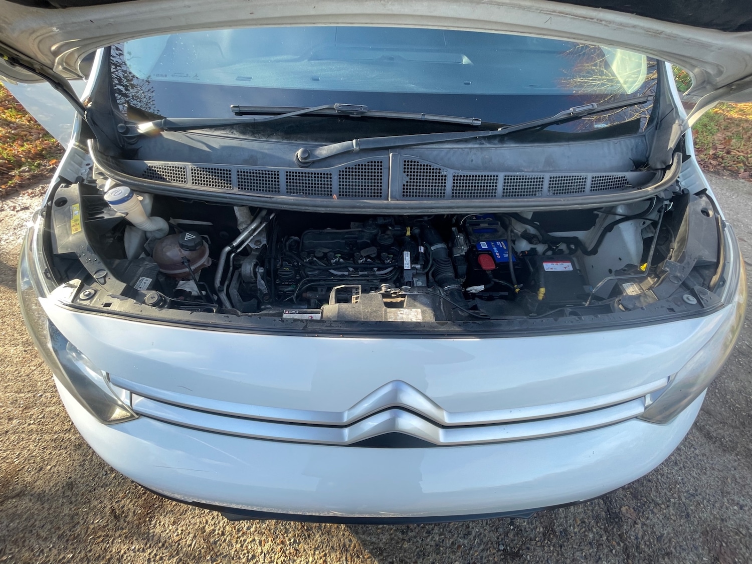 Used Citroen Dispatch 2018 for sale - 76618384: Photo 6