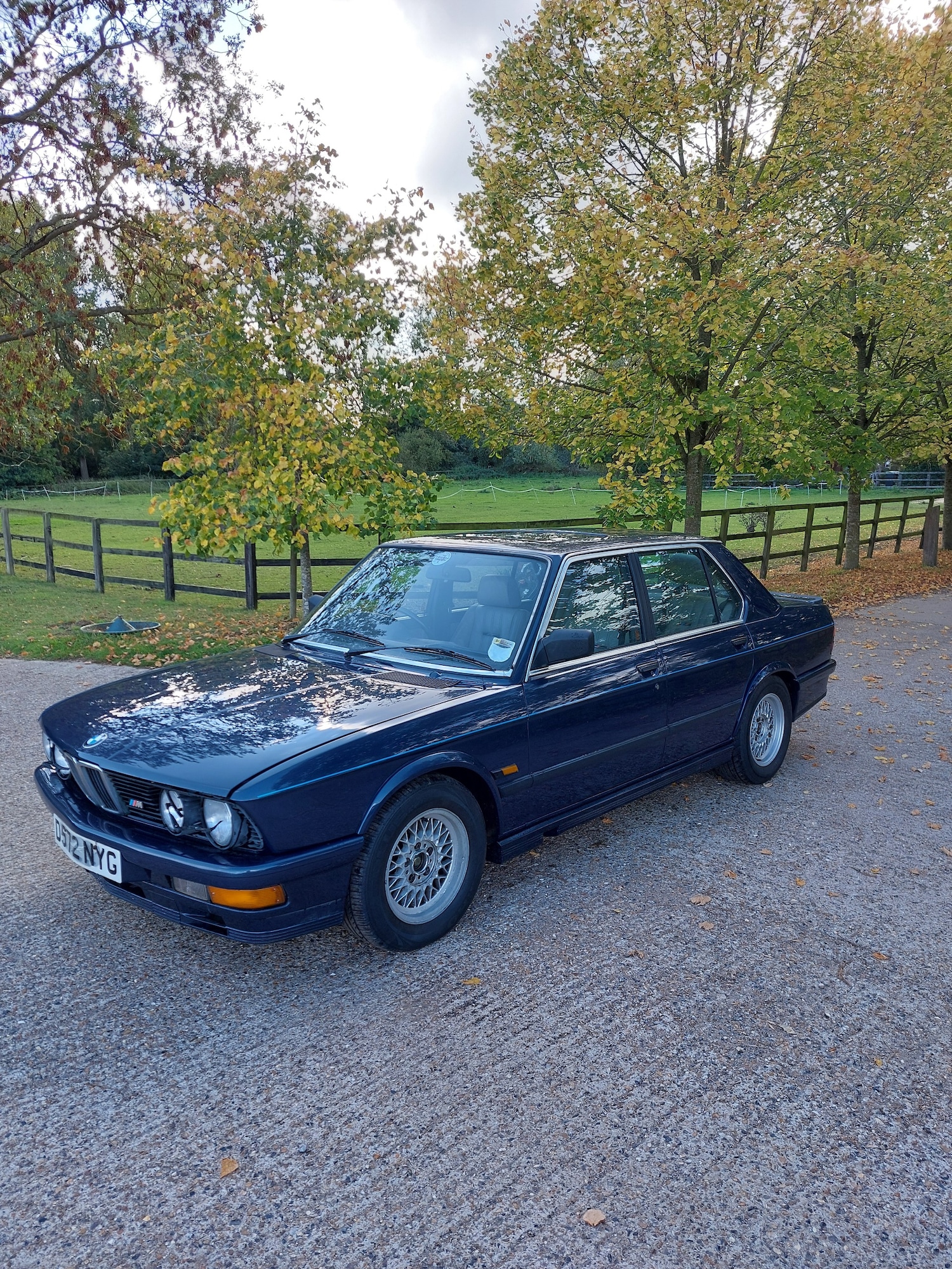 Used BMW 5 Series 1987 for sale - 76258018: Photo 1