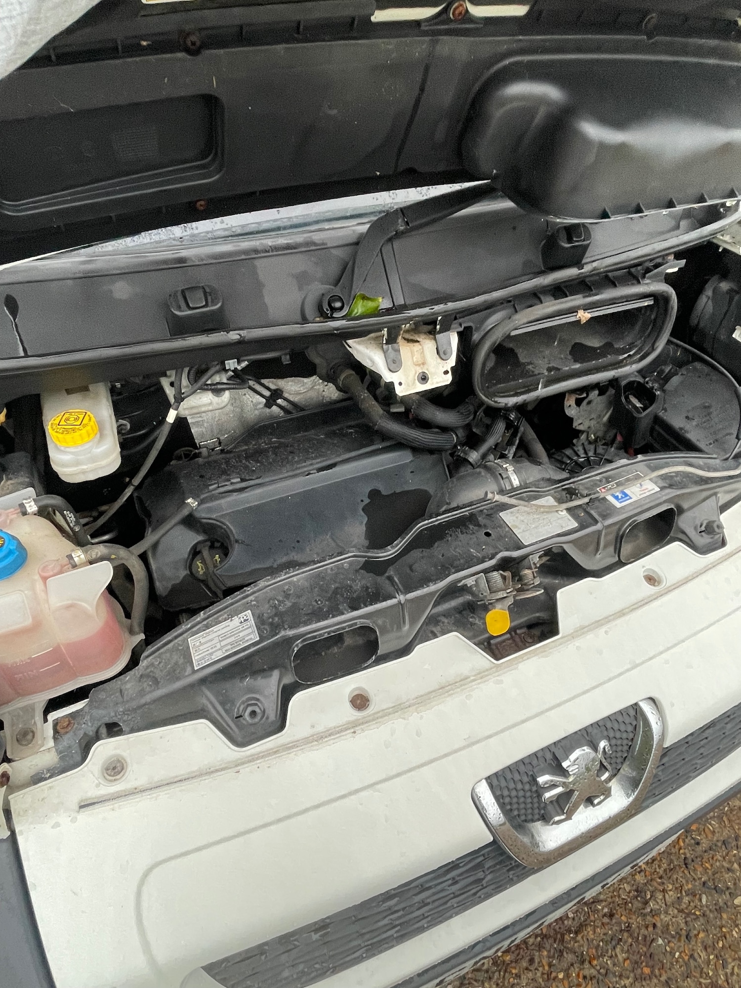 Used Peugeot Boxer 2014 for sale - 76588660: Photo 11