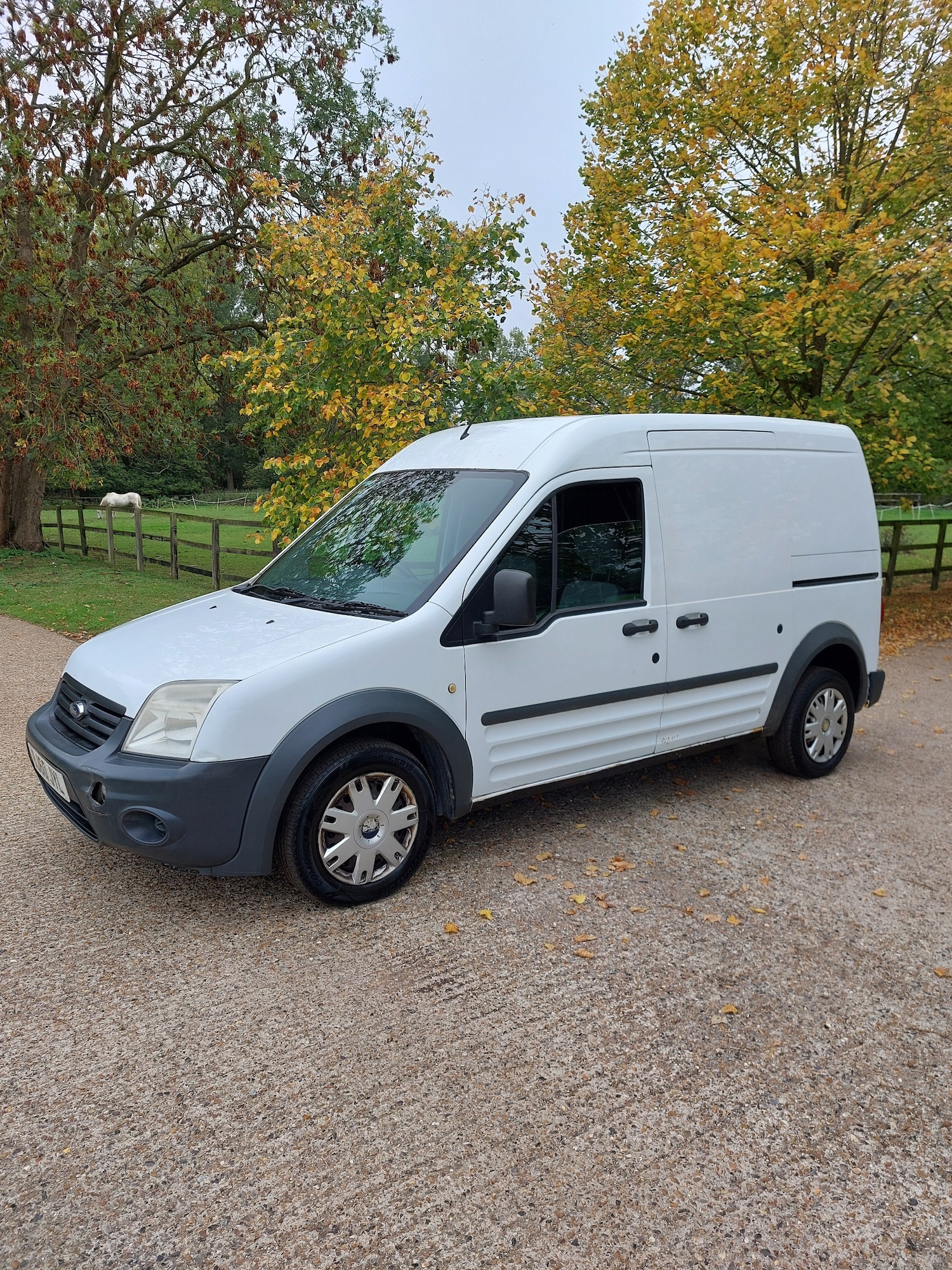 Used Ford Transit Connect 2010 for sale - 76205795: Photo 3