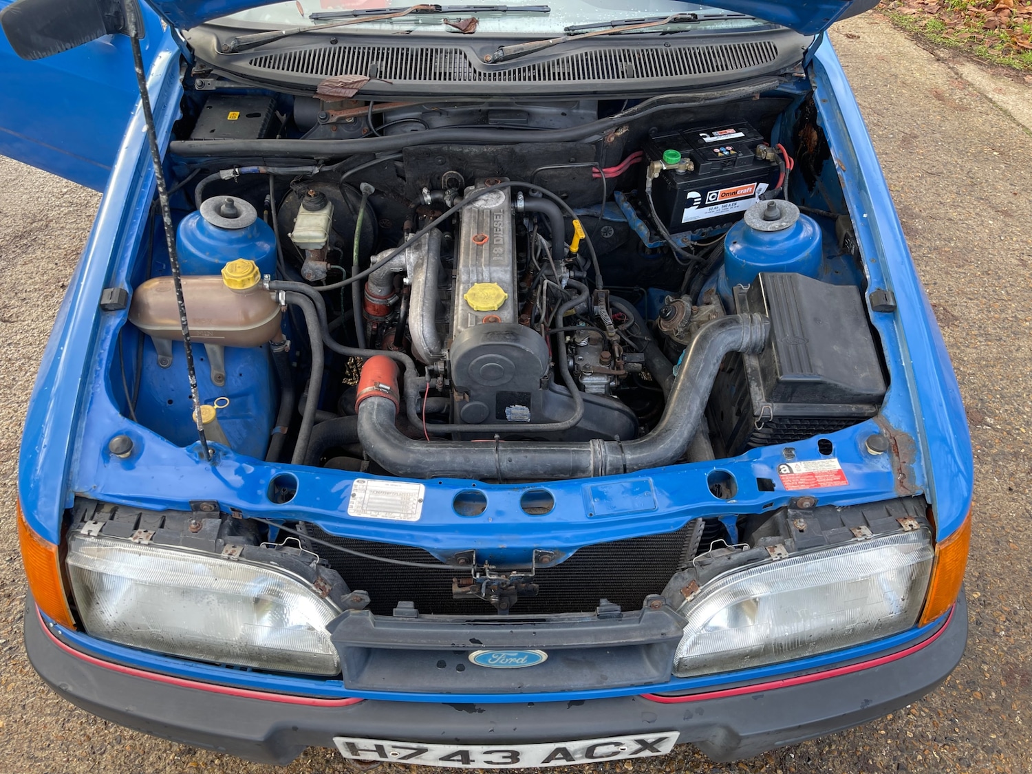 Used Ford P100 1991 for sale - 76687481: Photo 13