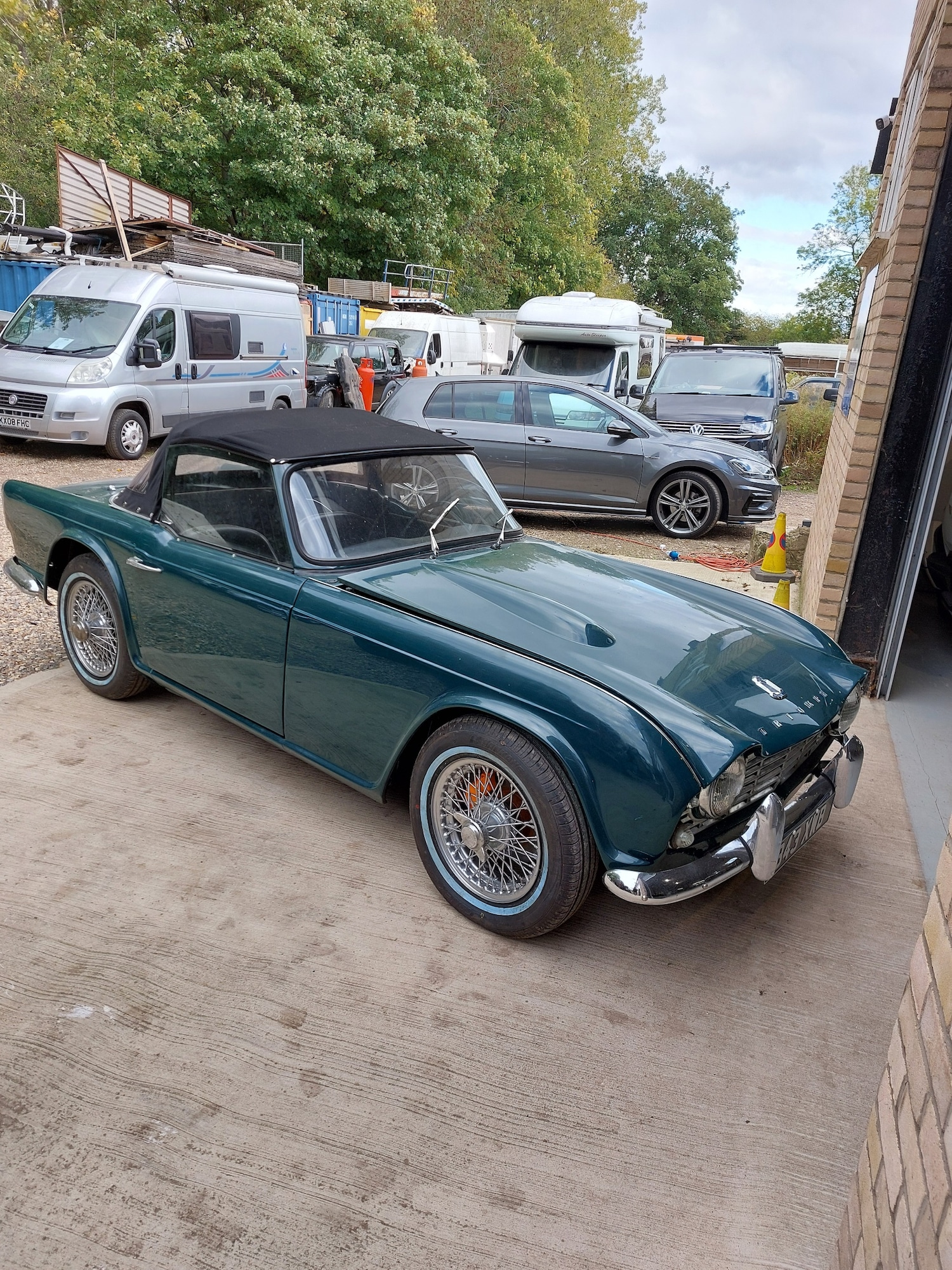 Used Triumph TR4 2023 for sale - 76258006: Photo 1