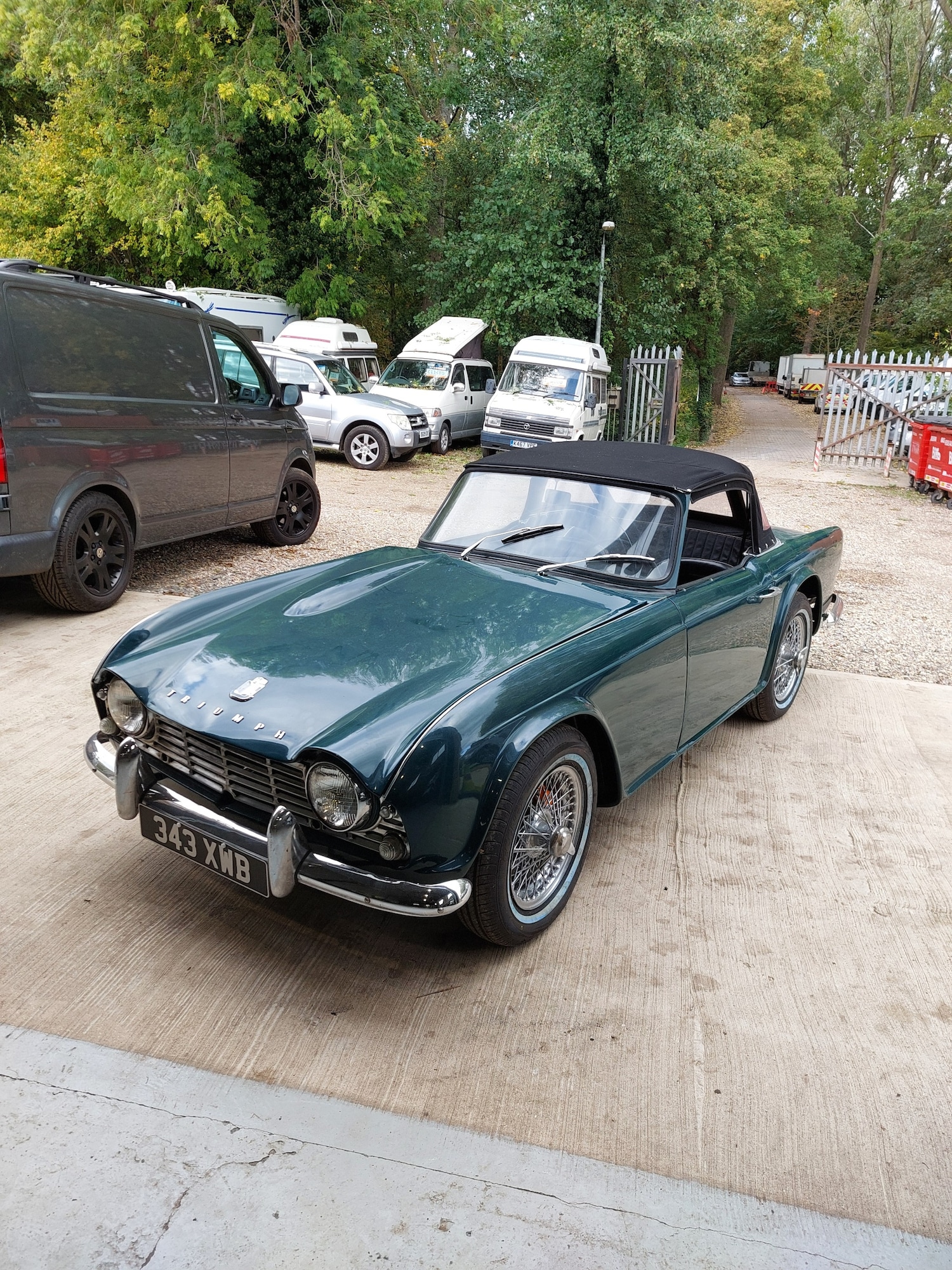 Used Triumph TR4 2023 for sale - 76258006: Photo 2