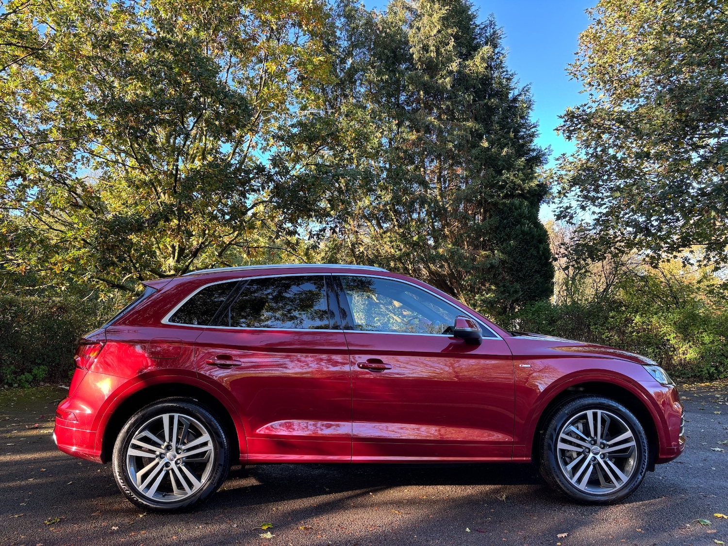Used Audi Q5 2020 for sale - 76352156: Photo 6