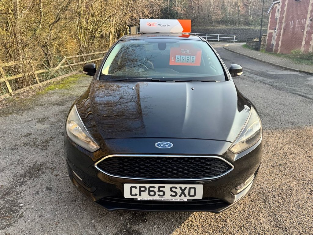 Used Ford Focus 2016 for sale - 77748909: Photo 11