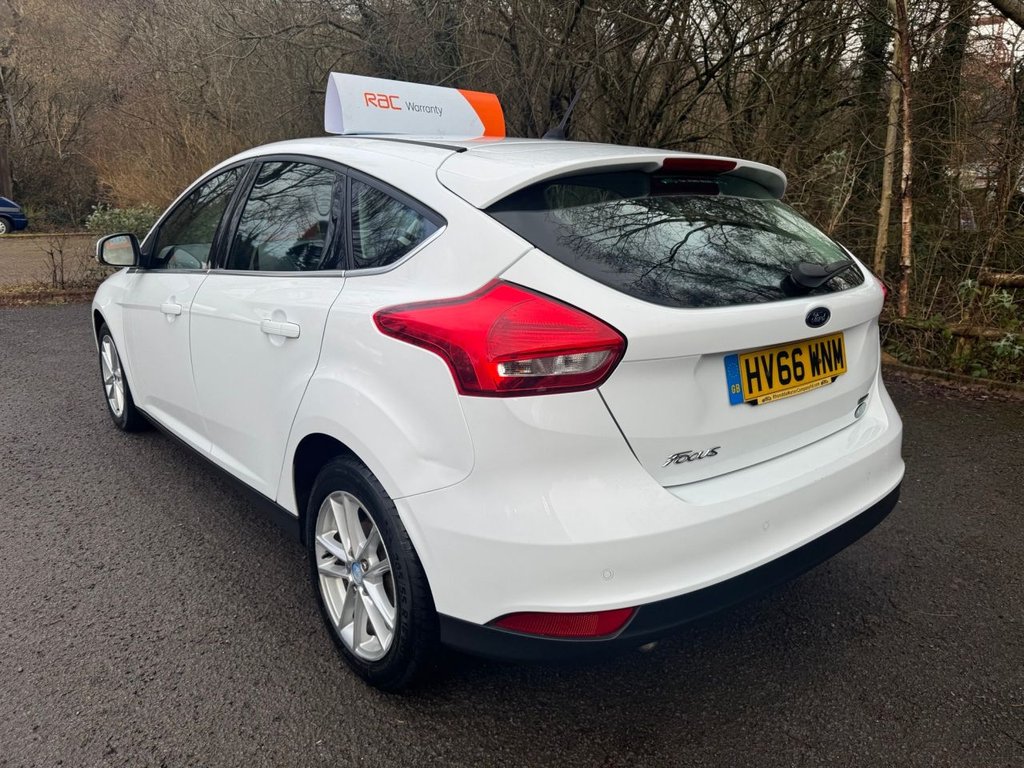 Used Ford Focus 2016 for sale - 77250331: Photo 3