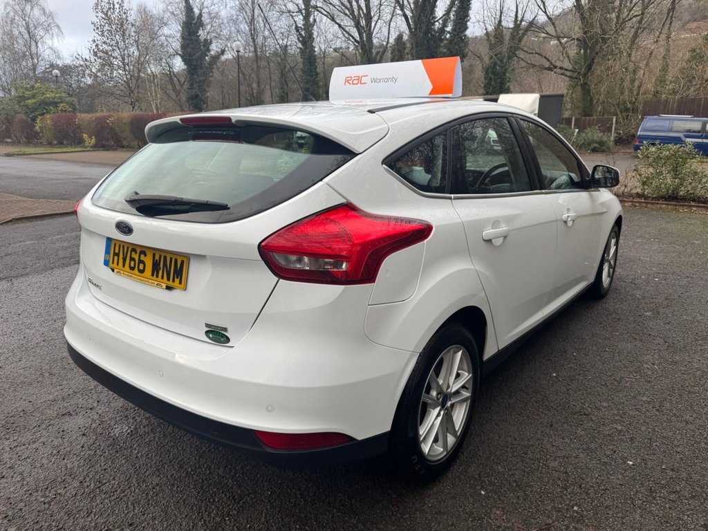 Used Ford Focus 2016 for sale - 77250331: Photo 4