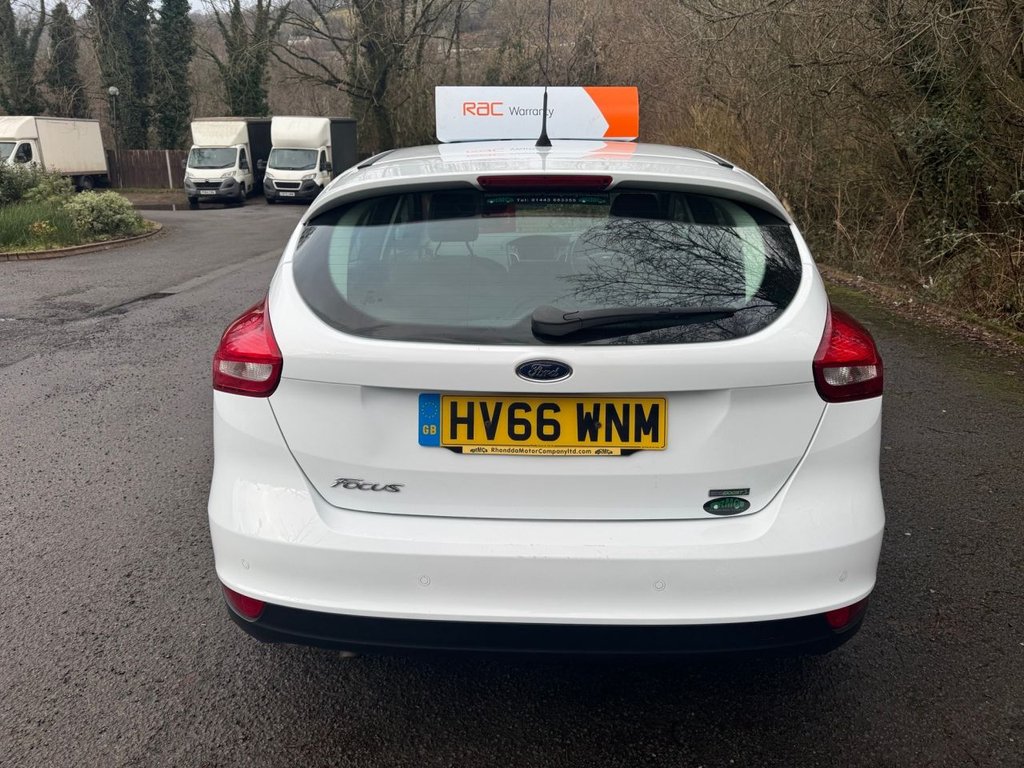 Used Ford Focus 2016 for sale - 77250331: Photo 8