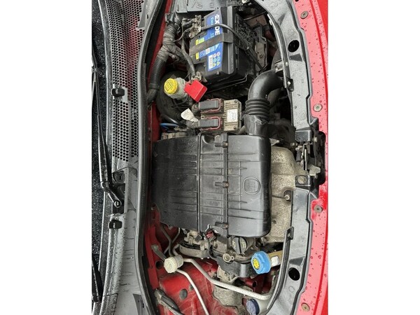 Used Fiat 500 2008 for sale - 71504888: Photo 15