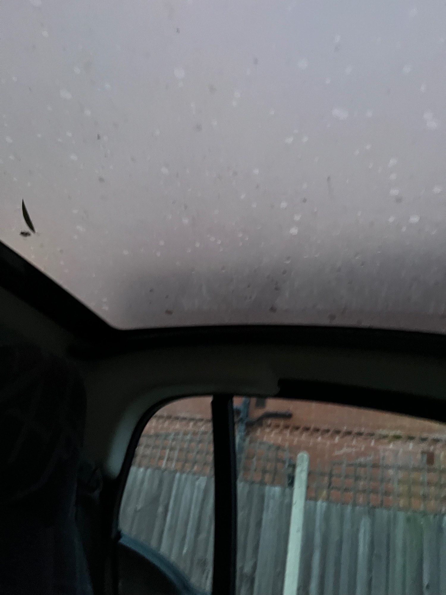 Used smart fortwo 2009 for sale - 77258638: Photo 18