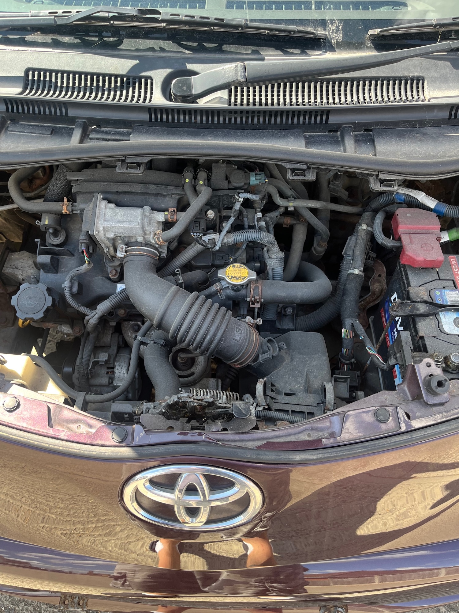 Used Toyota IQ 2009 for sale - 76024266: Photo 22