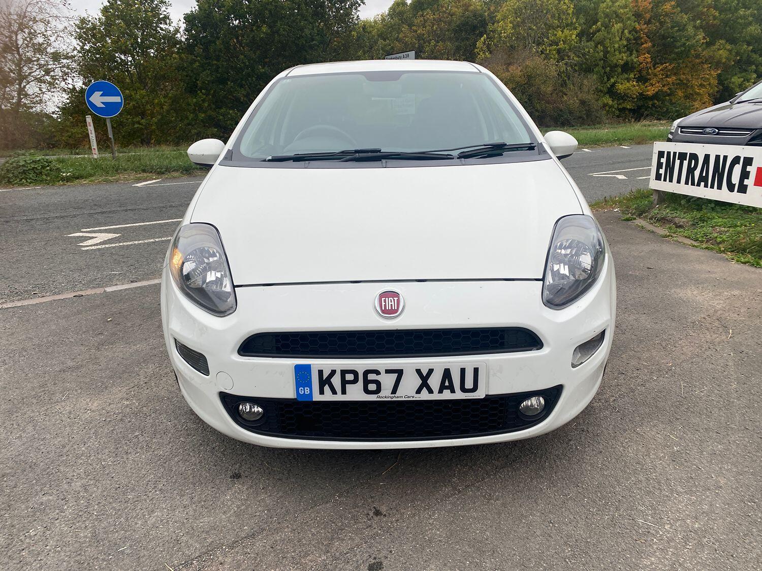 Used Fiat Punto 2017 for sale - 76242879: Photo 3