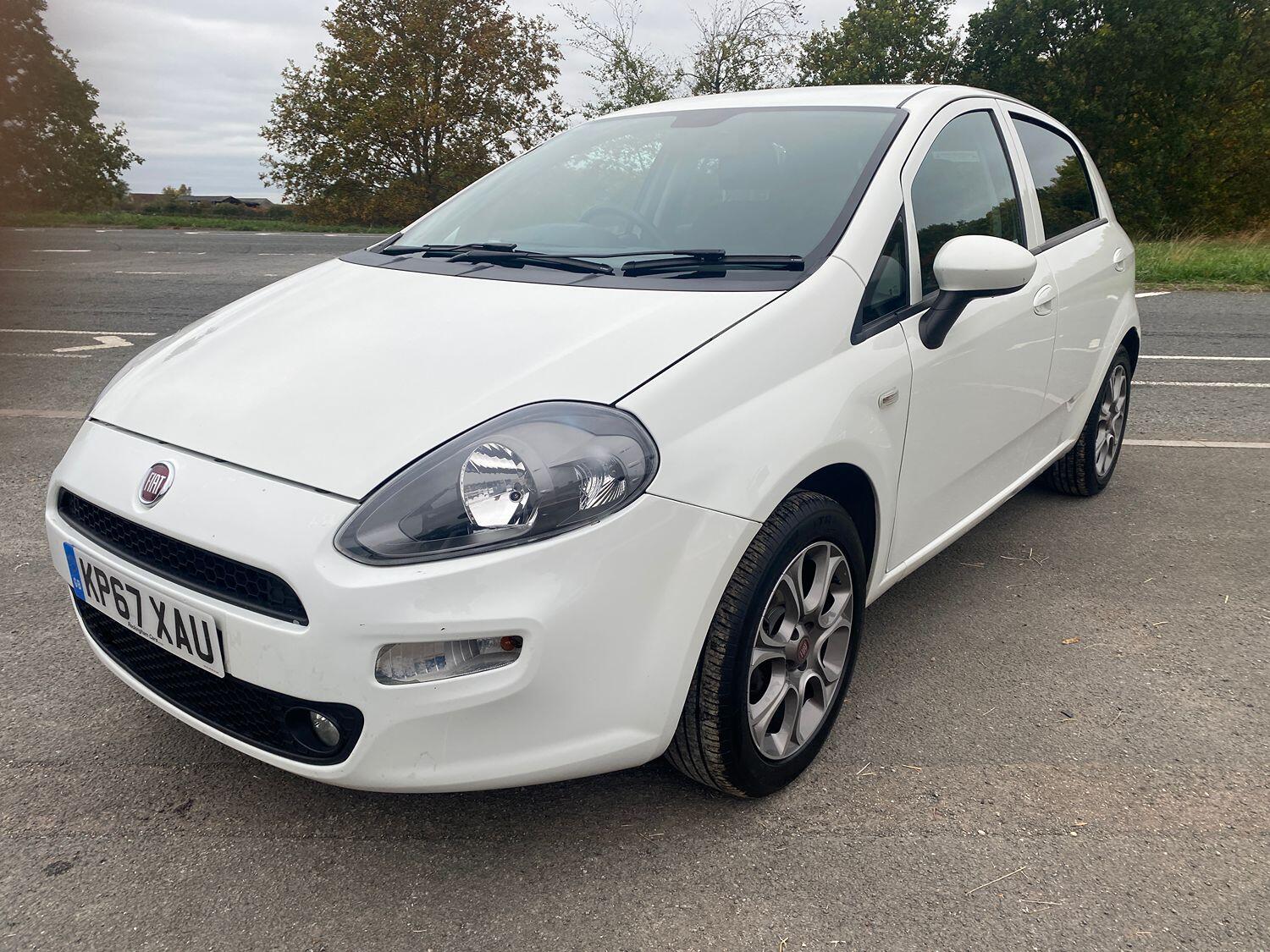 Used Fiat Punto 2017 for sale - 76242879: Photo 4