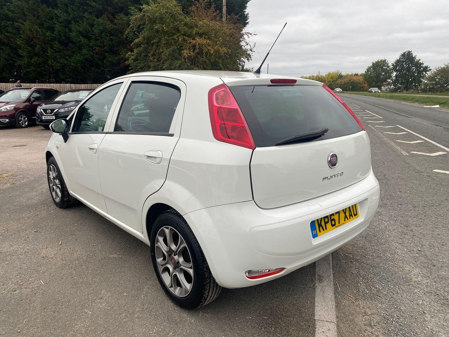 Used Fiat Punto 2017 for sale - 76242879: Photo 6