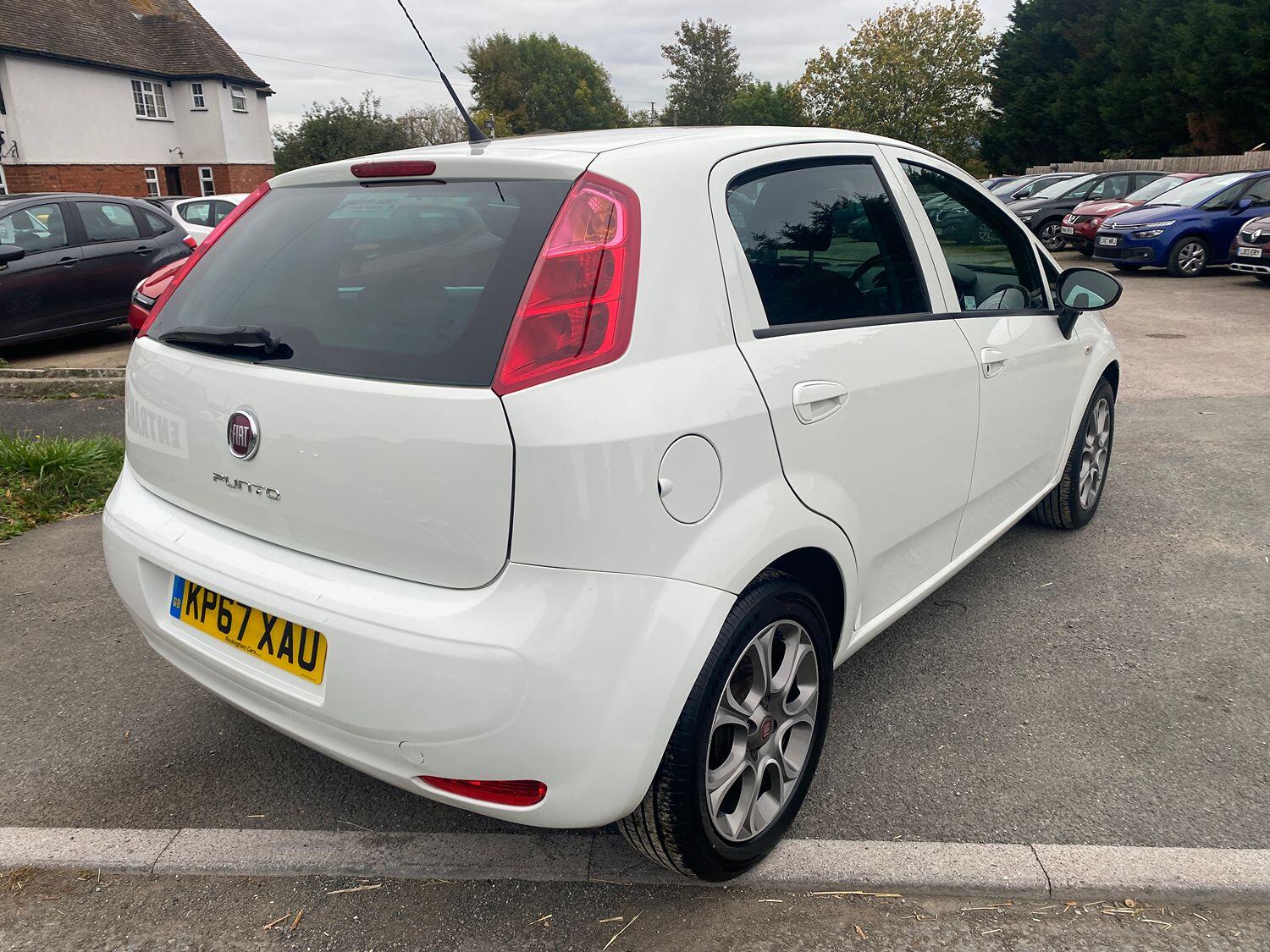 Used Fiat Punto 2017 for sale - 76242879: Photo 8