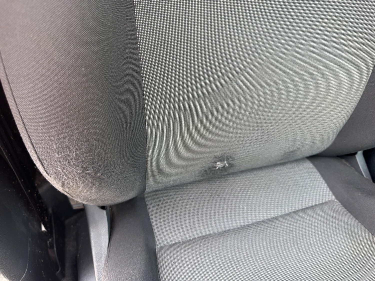 Used Volkswagen Caddy 2020 for sale - 76988349: Photo 13