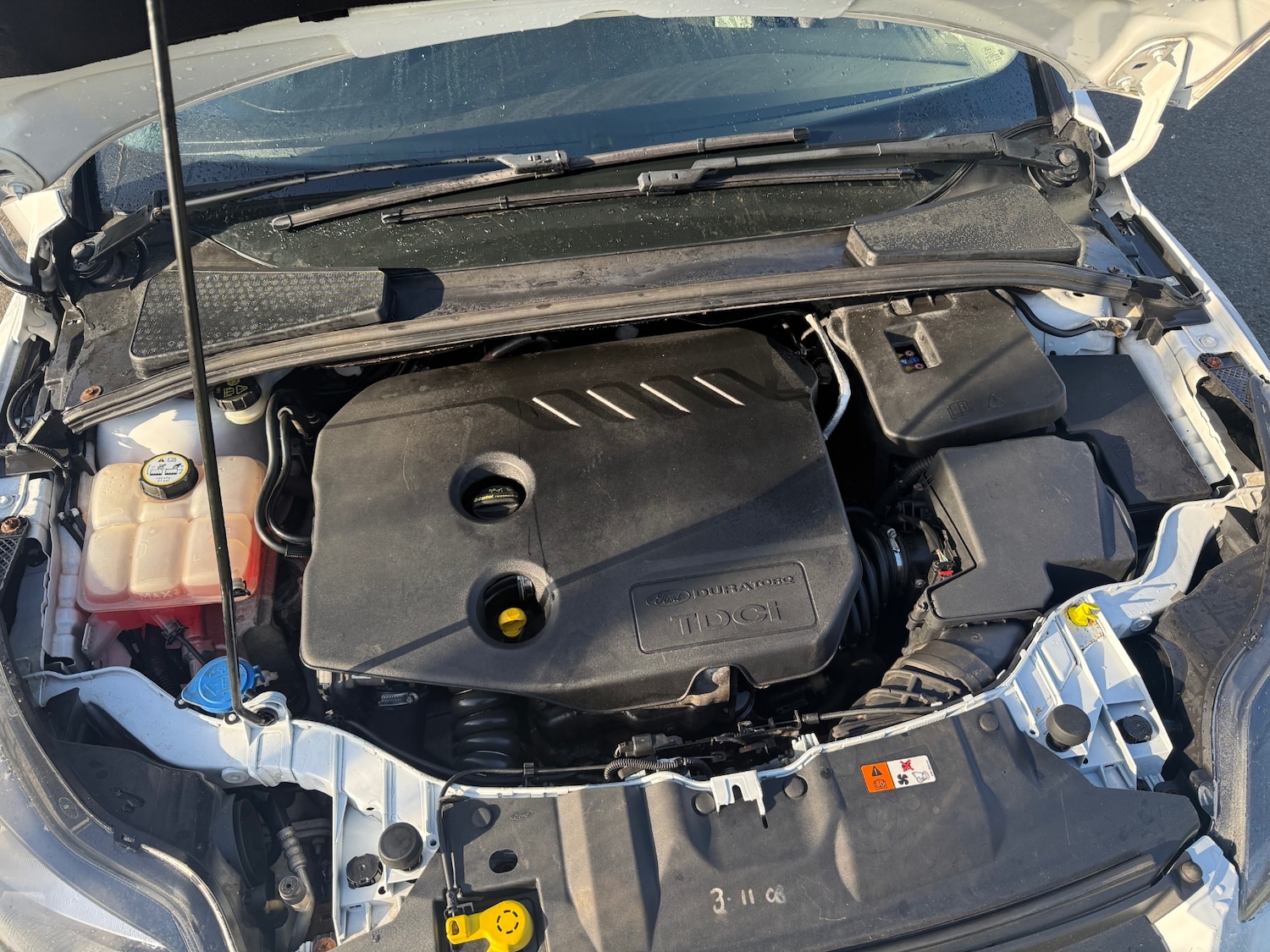 Used Ford Focus 2014 for sale - 77732337: Photo 12