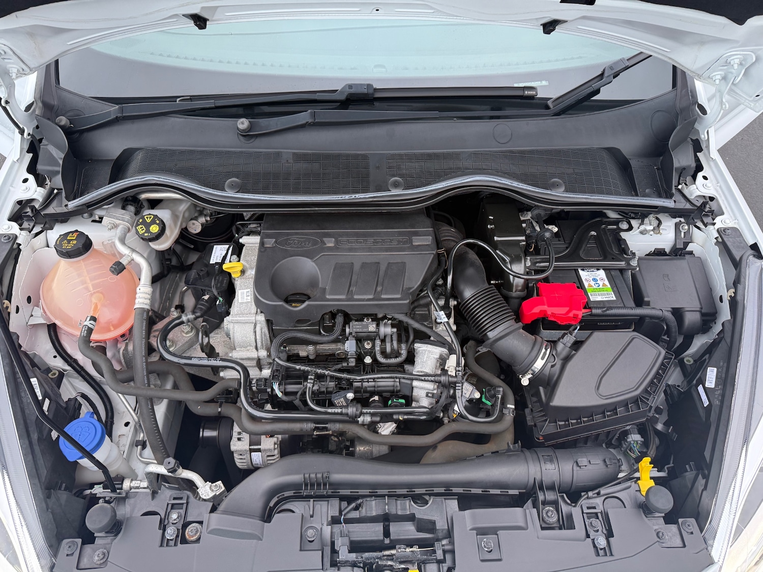 Used Ford Fiesta 2021 for sale - 77077890: Photo 17