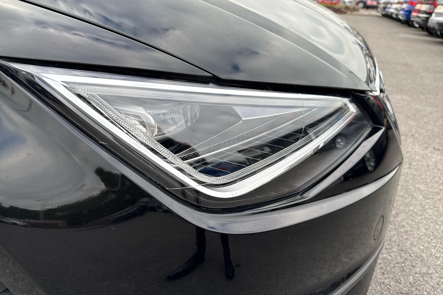 Used SEAT Ibiza 2024 for sale - 77959639: Photo 8