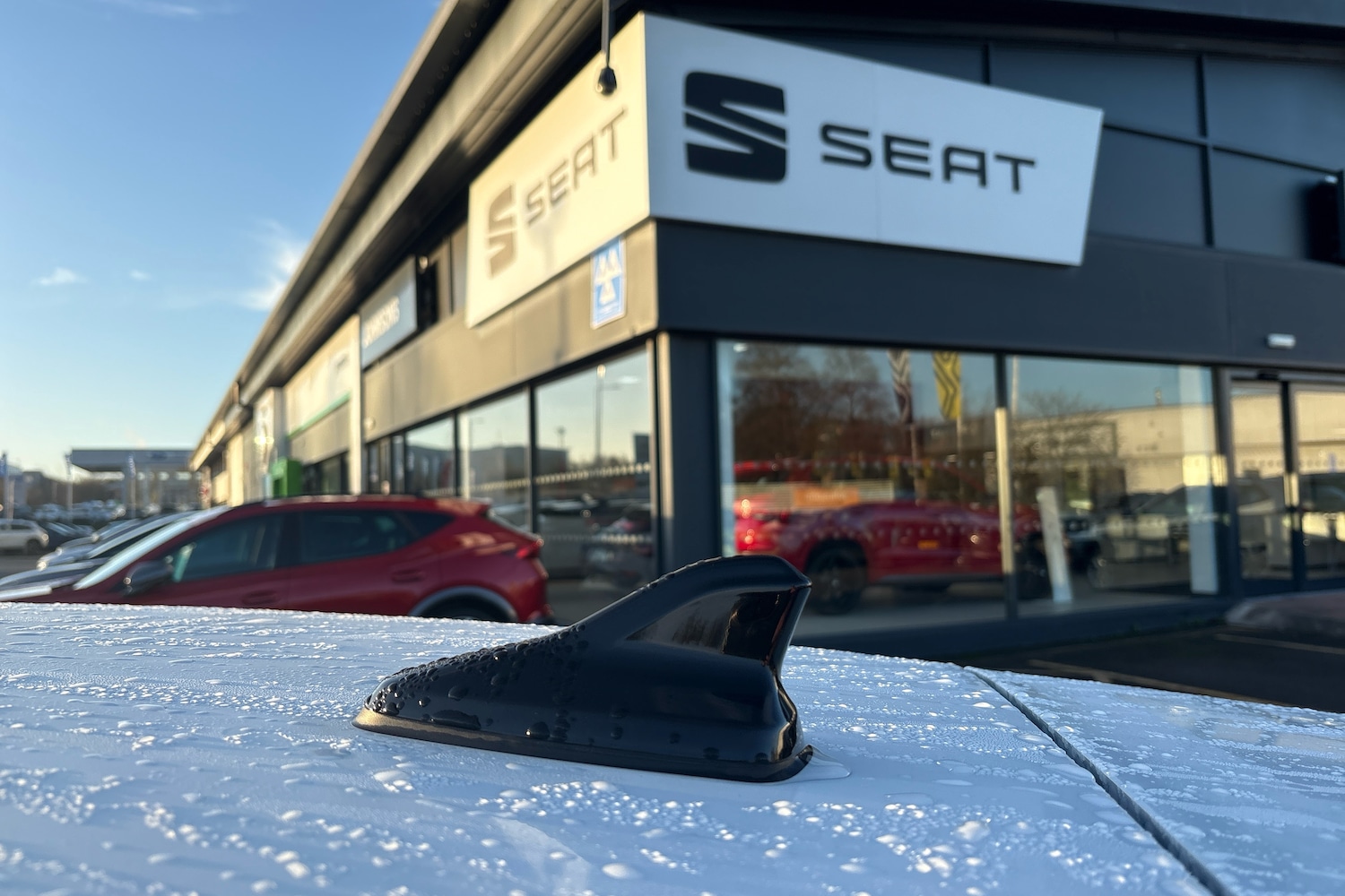 Used Cupra Leon 2024 for sale - 77132889: Photo 13