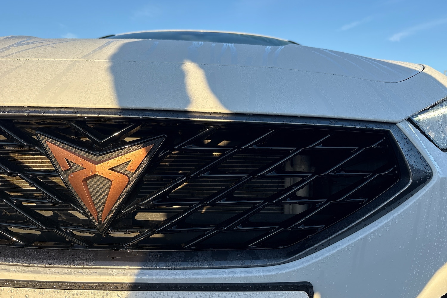 Used Cupra Leon 2024 for sale - 77132889: Photo 15