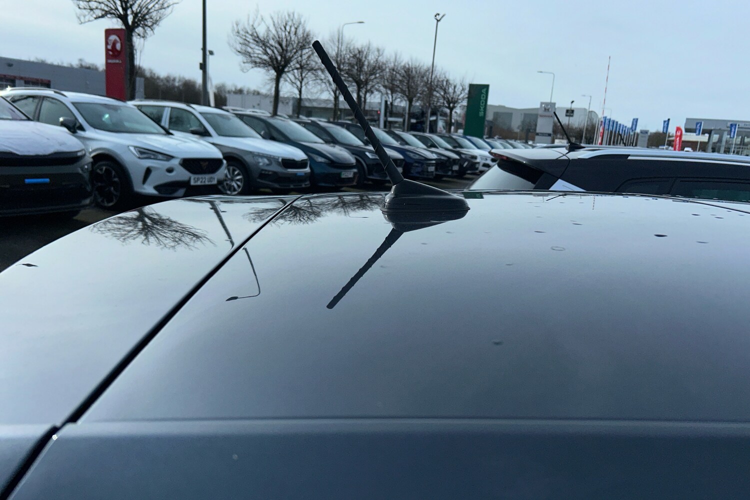 Used SEAT Ibiza 2024 for sale - 78118082: Photo 19