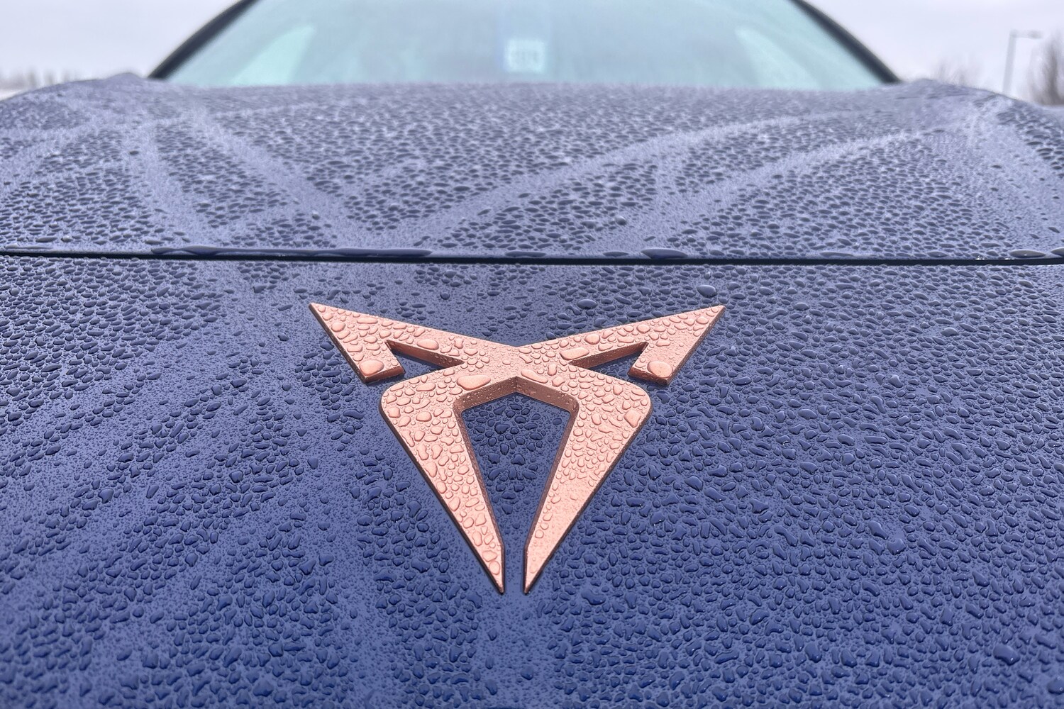 Used Cupra Terramar 2025 for sale - 77941900: Photo 14