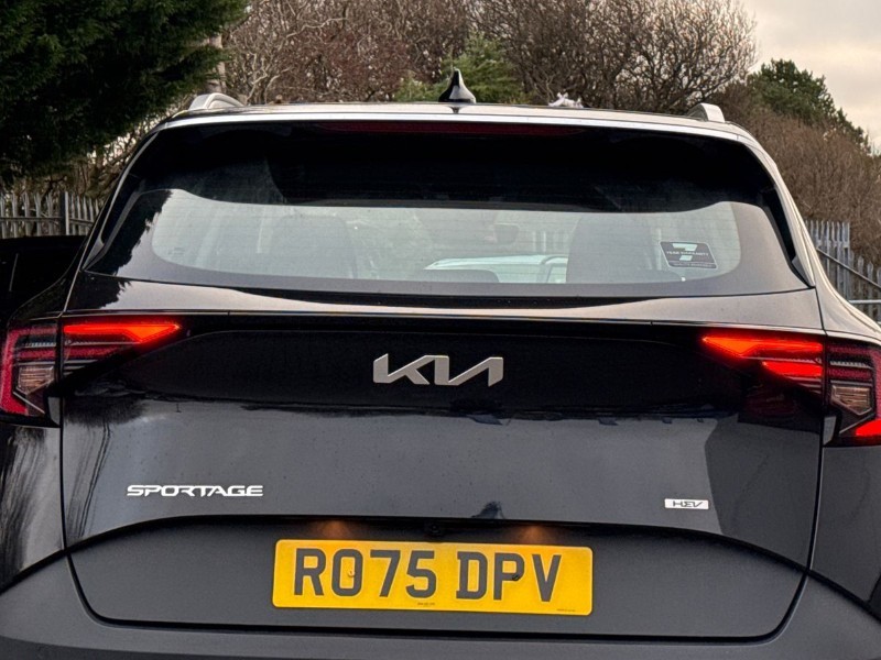 Used Kia Sportage 2025 for sale - 77063472: Photo 38