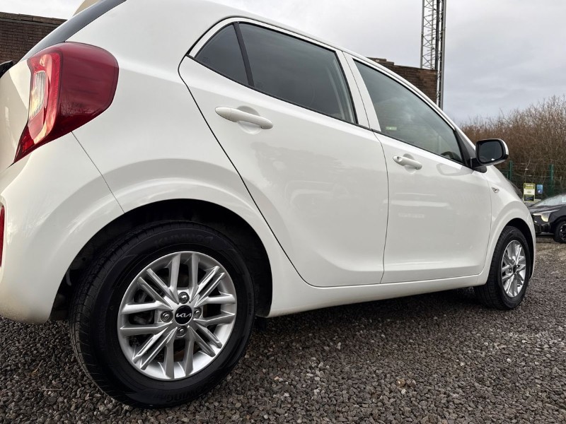 Used Kia Picanto 2024 for sale - 77282588: Photo 30