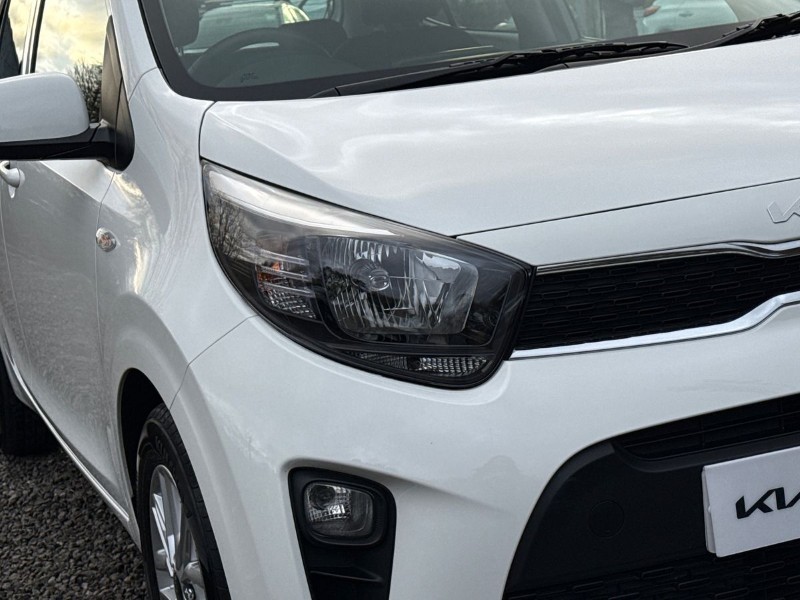 Used Kia Picanto 2024 for sale - 77282588: Photo 31