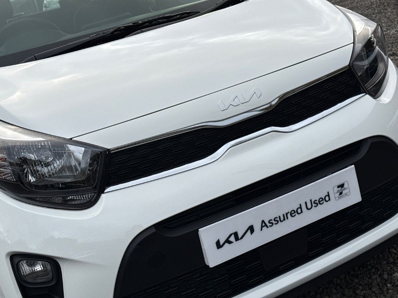 Used Kia Picanto 2024 for sale - 77282588: Photo 32