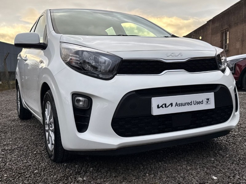 Used Kia Picanto 2024 for sale - 77282588: Photo 33