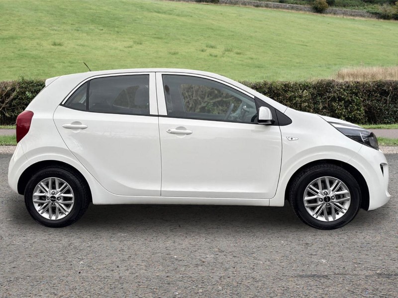 Used Kia Picanto 2024 for sale - 77282588: Photo 5