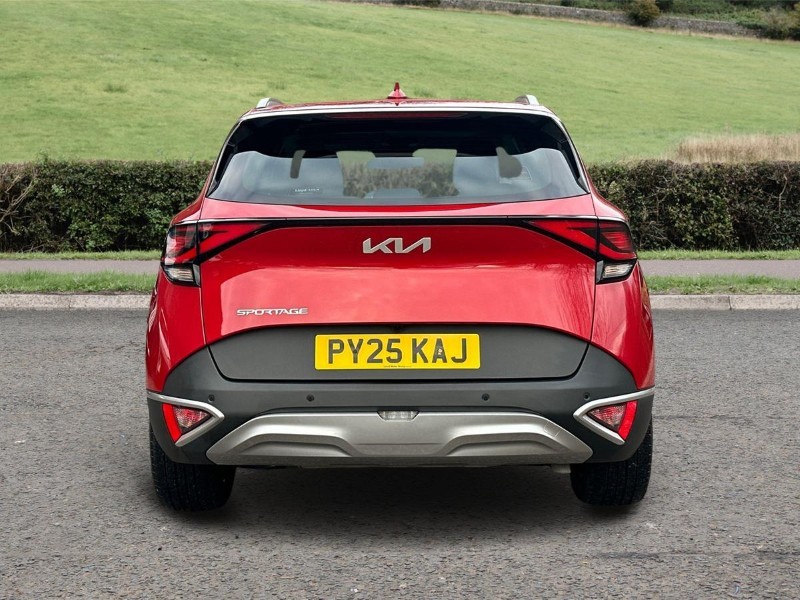 Used Kia Sportage 2025 for sale - 77449938: Photo 6